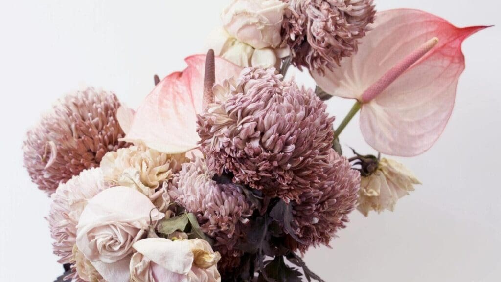 flowers in vase