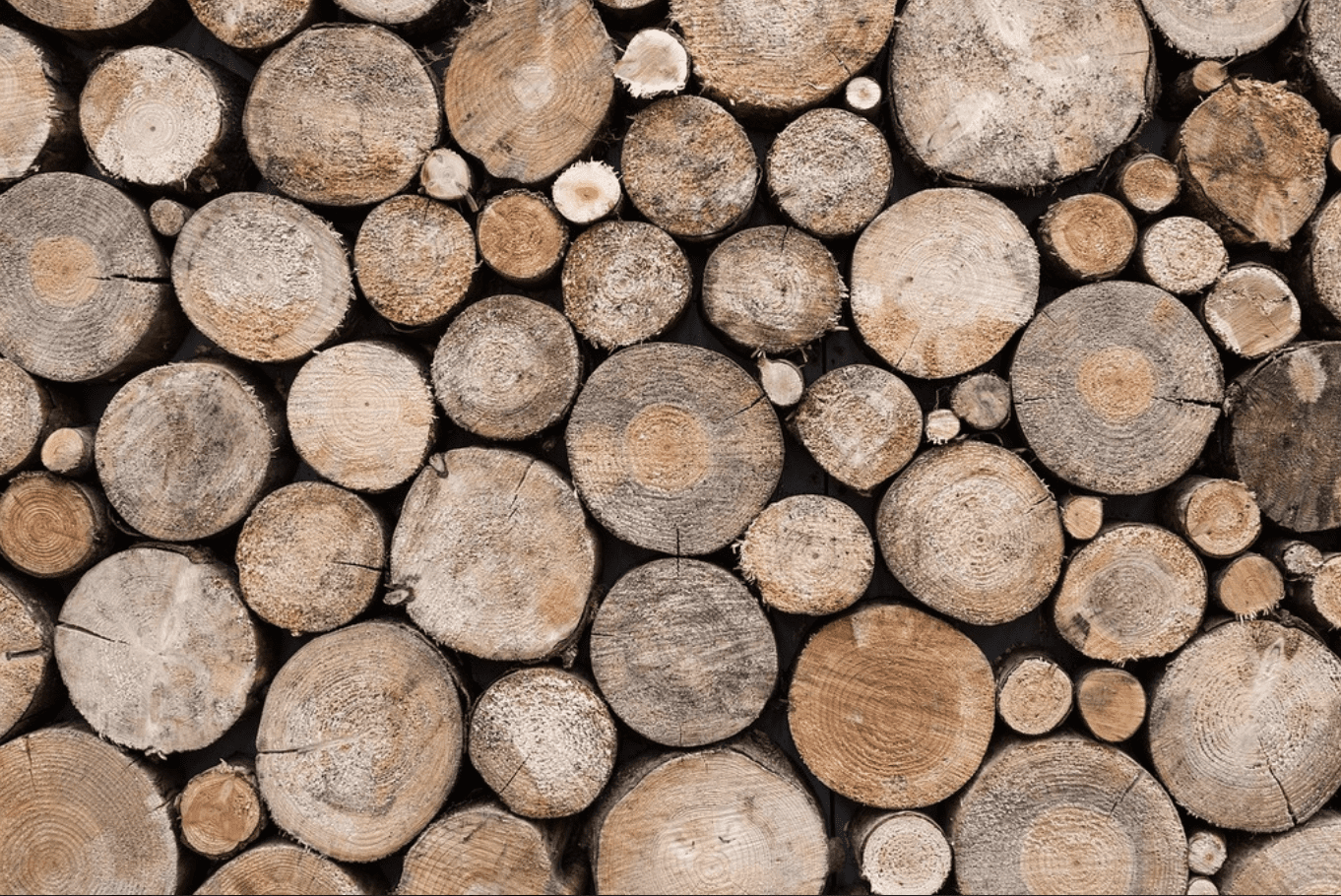 Logs