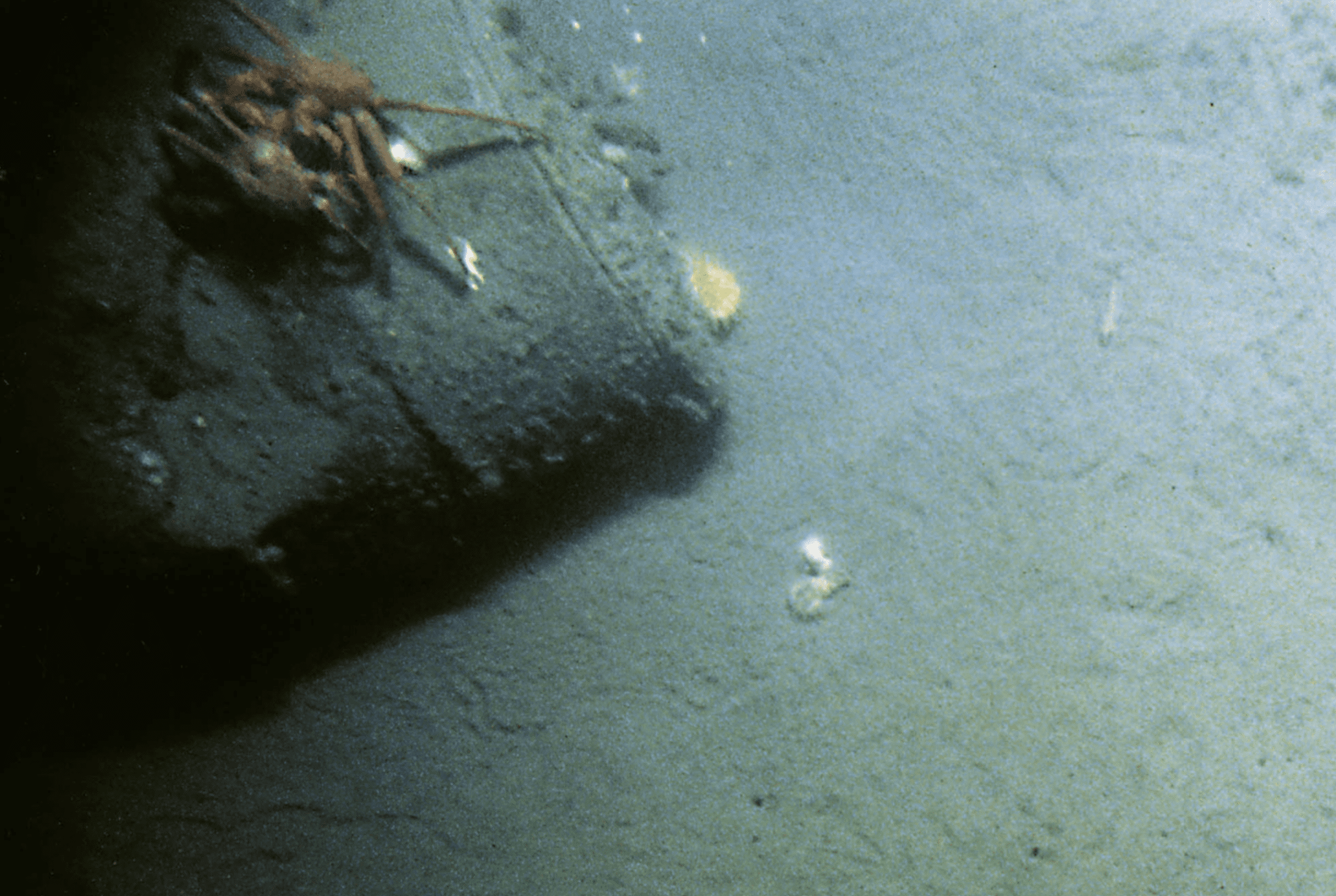 ocean dumping with crab